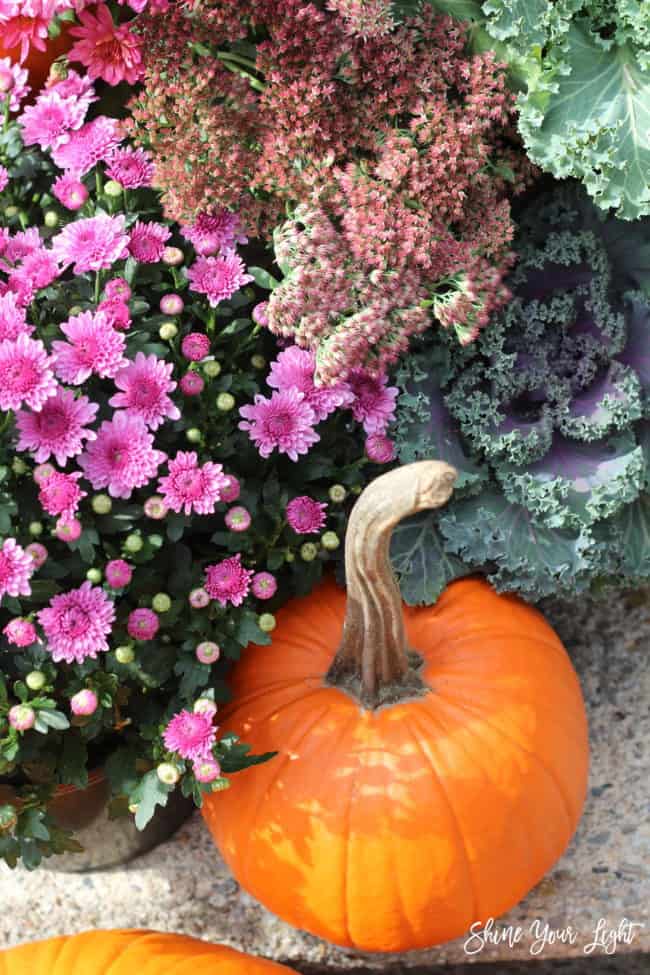 Our Classic New England Autumn Front Door - Shine Your Light