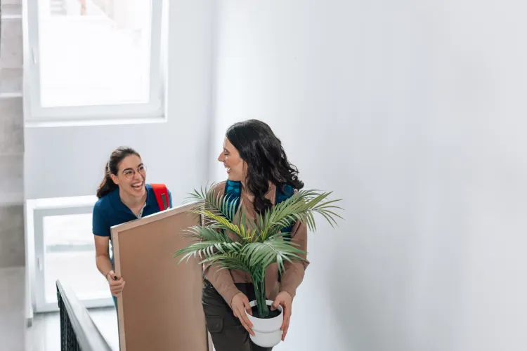 Spare Room Vs. Craigslist Roommate Finder