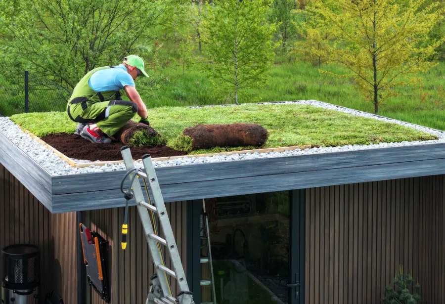 How to Choose the Right Green Roof Contractor