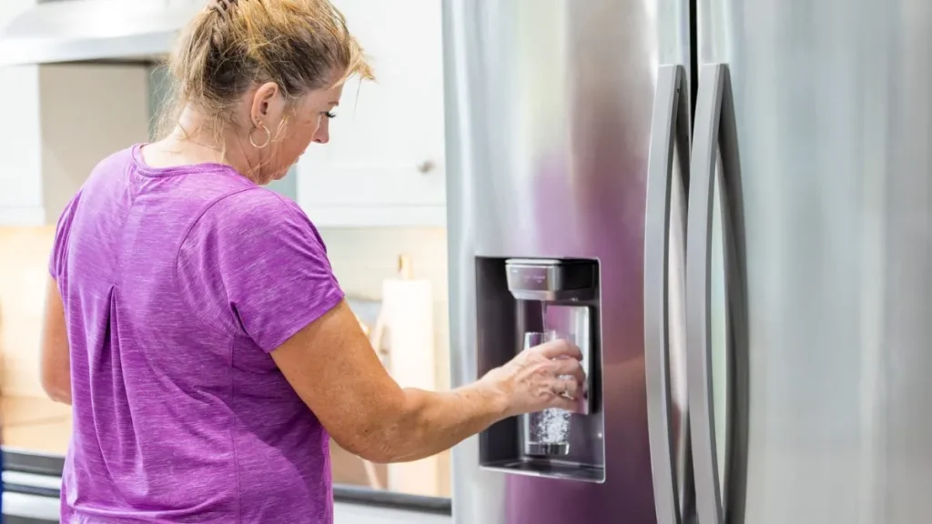 5 Signs It’s Time to Replace Your Refrigerator Water Filter