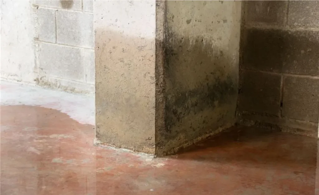 Warning Signs of a Slab Leak
