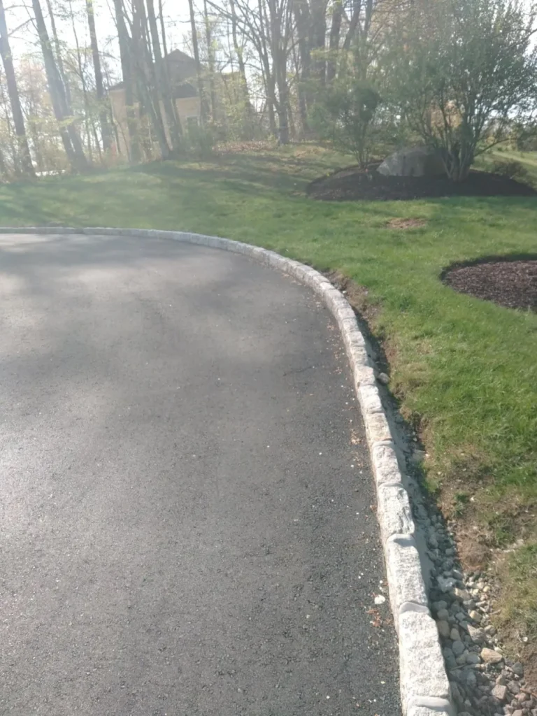 From Concrete to Green Reseeding Around a New Driveway