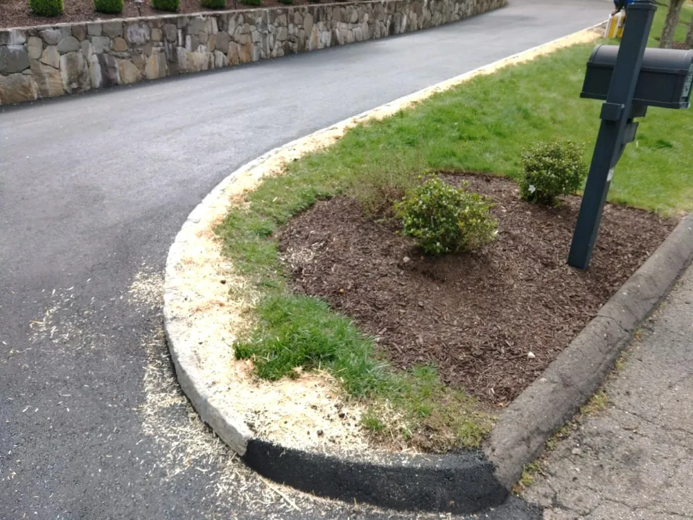 From Concrete to Green Reseeding Grass Around Your New Driveway