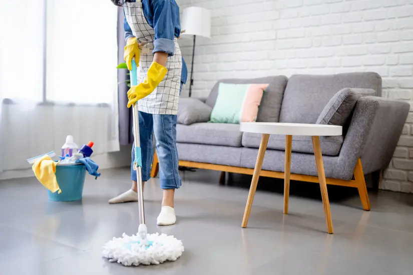 Professional Maid Service