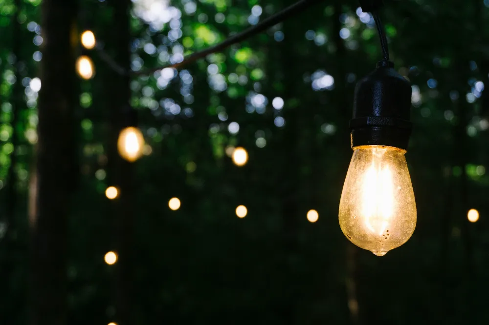 Why Your Outdoor Lighting Design Might Be Attracting More Insects Than You Think