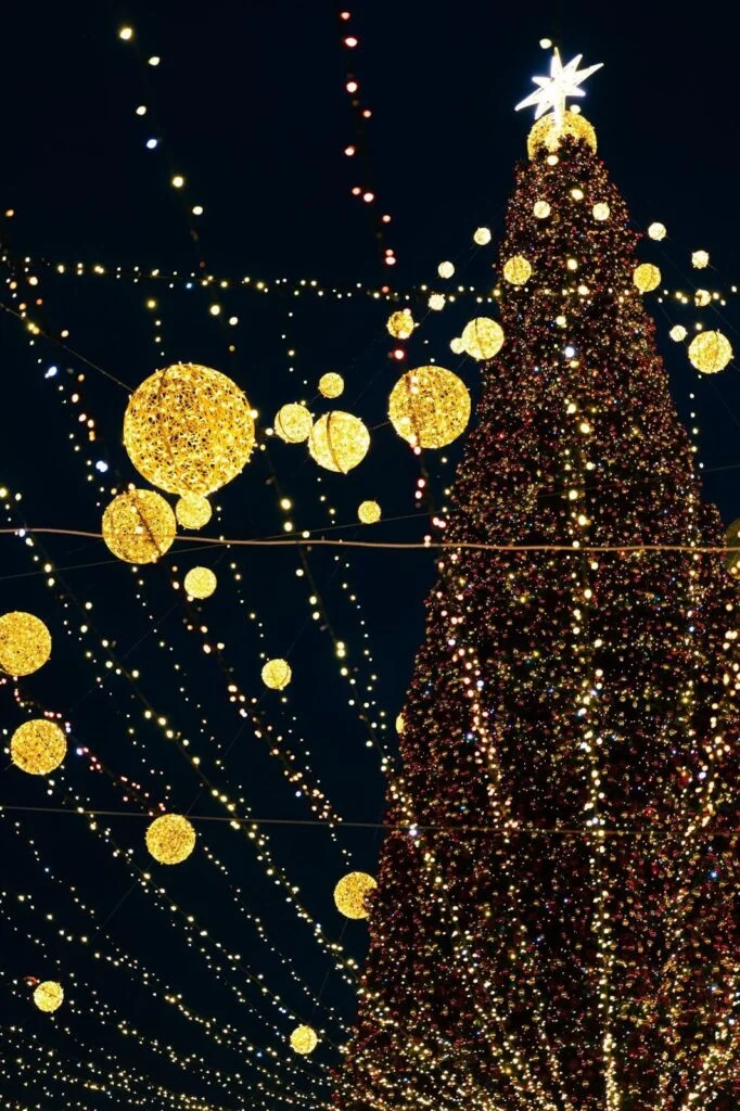 Best Commercial Outdoor Christmas Lights 2