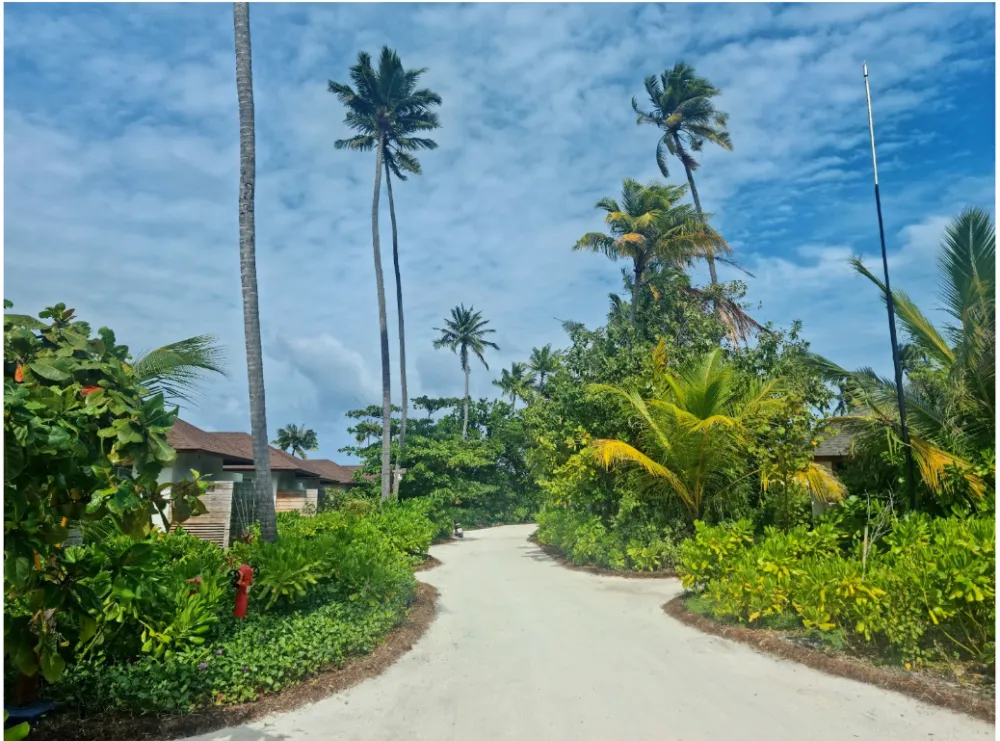 Why Sometimes the Biggest Changes Bring the Greatest Joy 2