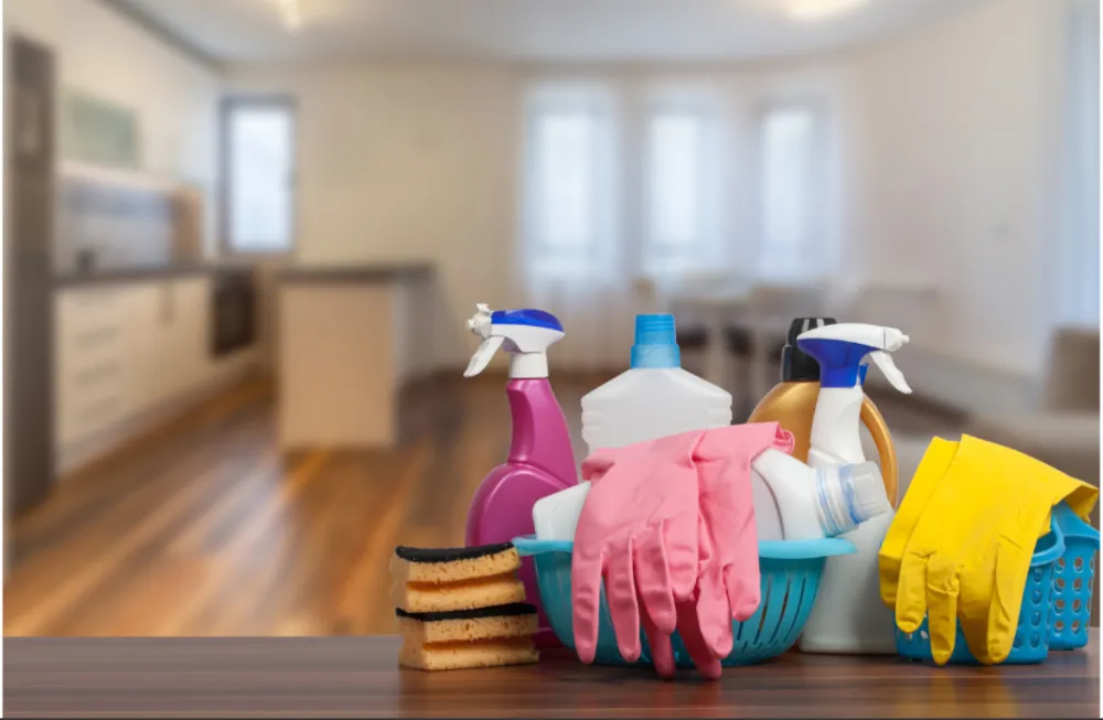 5 High-Impact Cleaning Tips for Busy Renters 2
