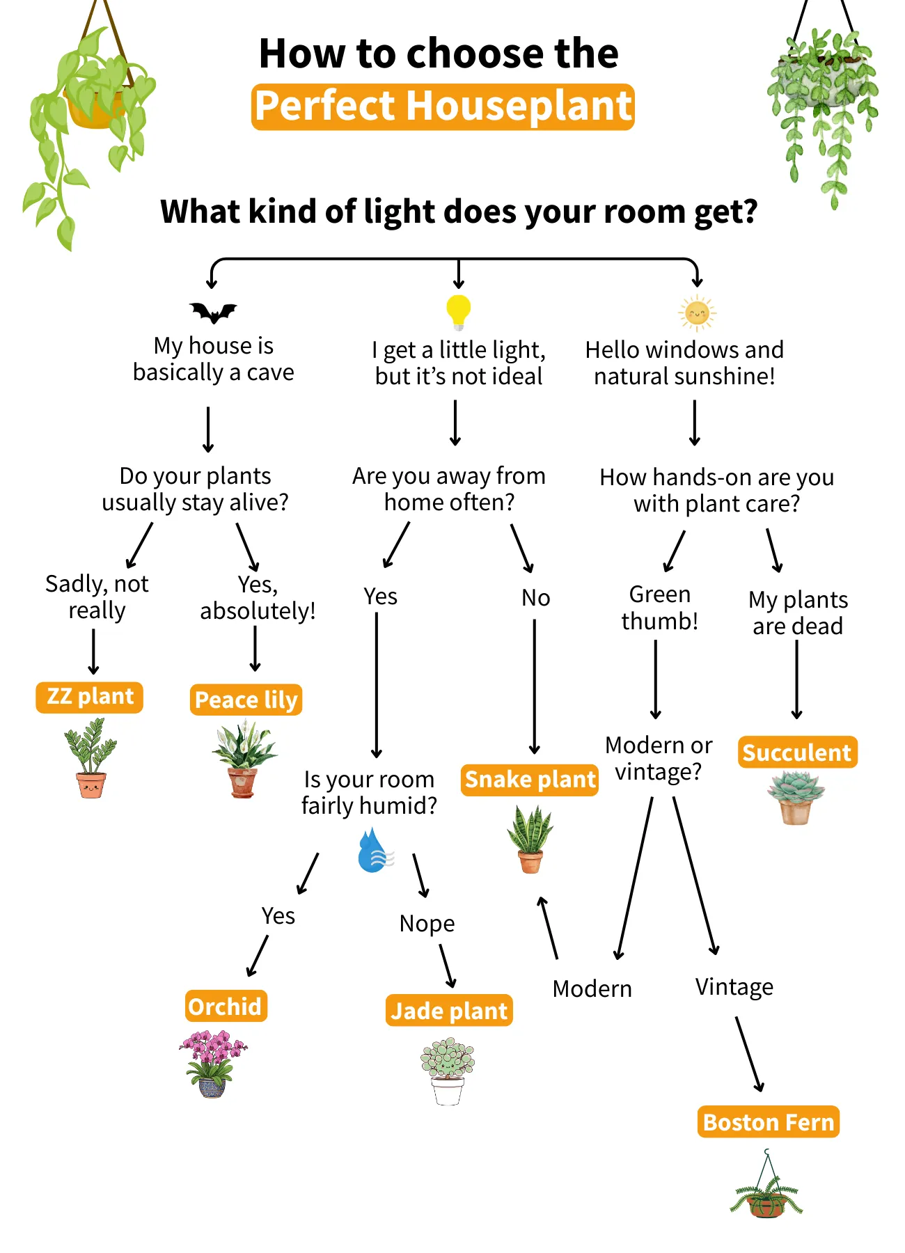 Introduce houseplants