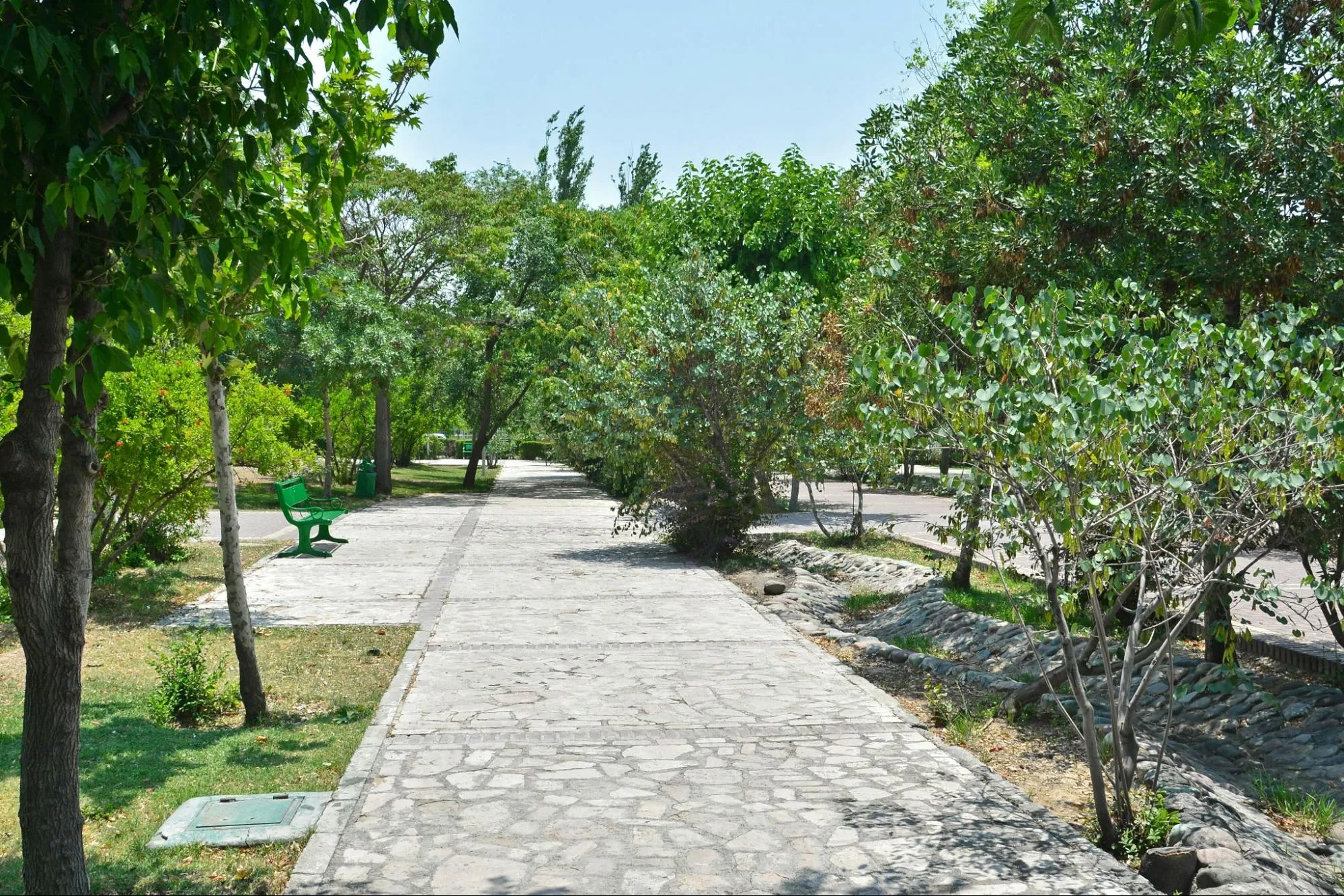 Essential-Services-for-Commercial-Property-Development-and-Maintenance-in-Australia1