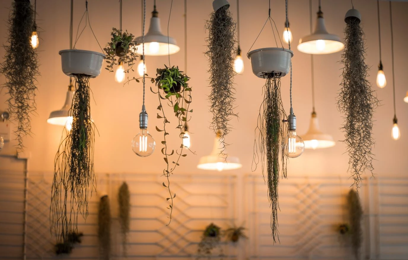 Incandescent and Halogen Why They Rarely Make Sense Now