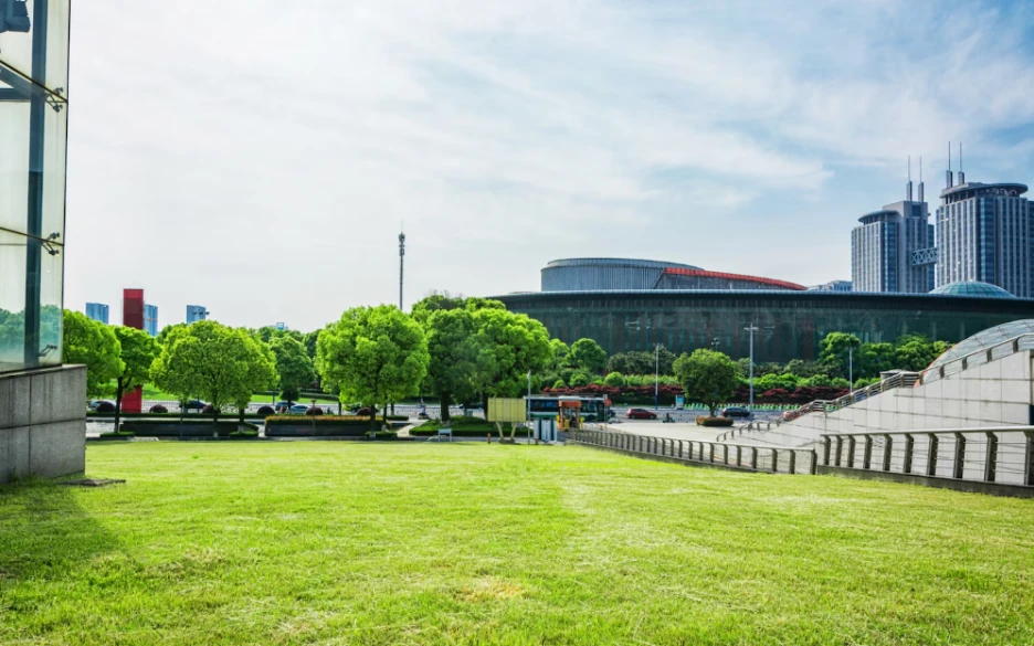 First Visual Message Sets Expectations