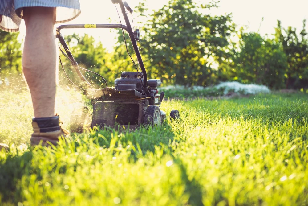 How Professional Lawn Care Improves Property Value