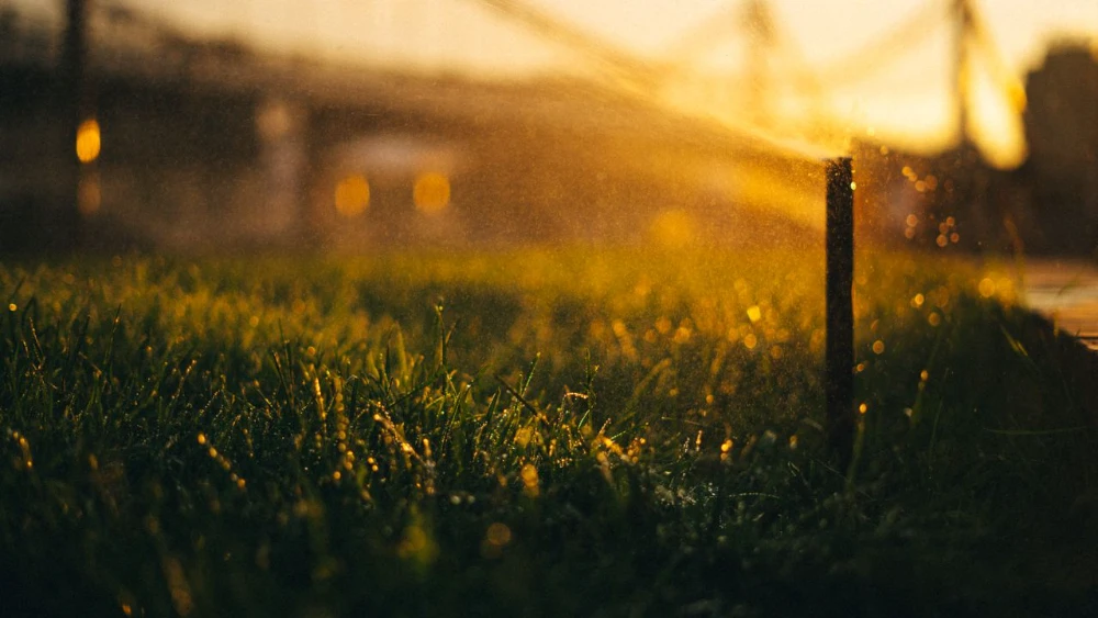 Signs Your Irrigation System Needs Repair