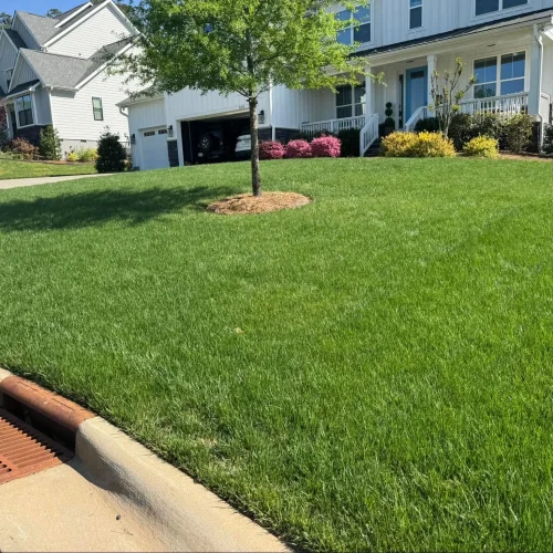 A Homeowner's Guide for a Weed-Free & Beautiful Lawn That Transforms Your Curb Appeal