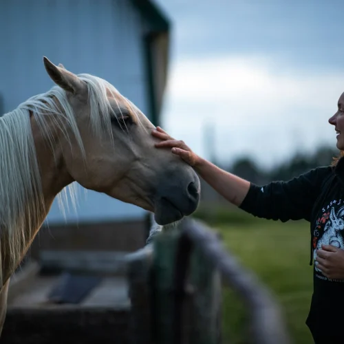 Canadian Communities Perfect for Equestrian Enthusiasts and Nature Lovers
