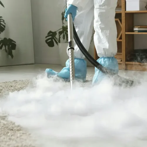 Carpet Cleaning Services