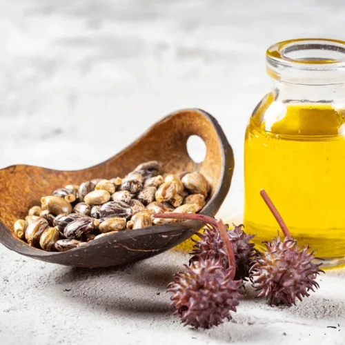 Castor Oil for Digestive Wellness What You Should Know