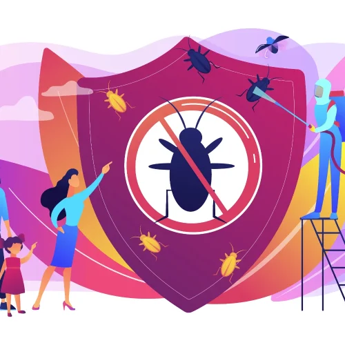 Creating a Healthier Home by Eliminating Hidden Pest Risks