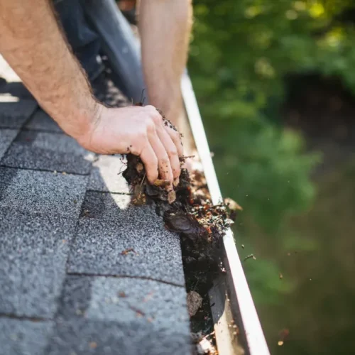 Do-It-Yourself Gutter Cleaning