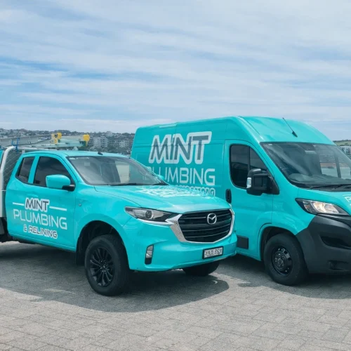 Expert Eastern Suburbs Plumbers You Can Rely On