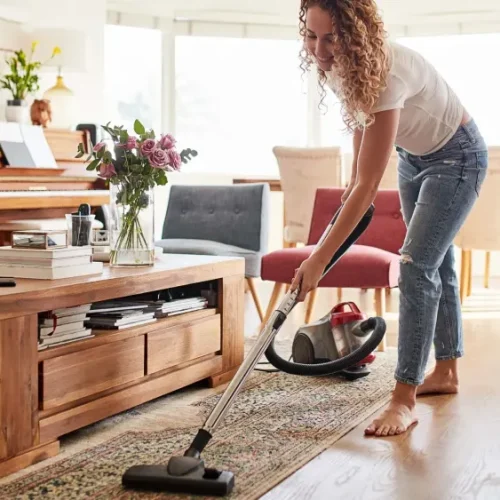 From Clutter to Conscious Living How Household Organization Shapes Sustainability