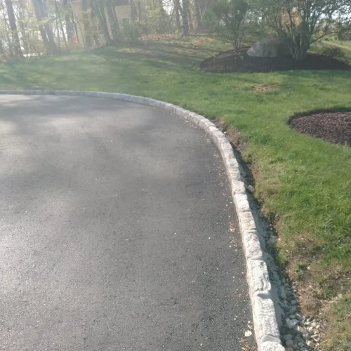 From Concrete to Green Reseeding Around a New Driveway