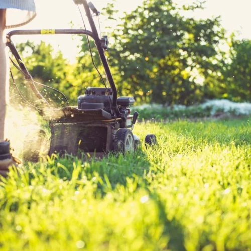 How Professional Lawn Care Improves Property Value