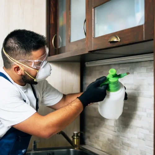 How Professionals Tackle Stinging Pest Control One Step at a Time