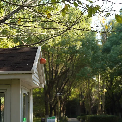 How-Your-Outdoor-Environment-Affects-Mental-Health-and-Well-Being