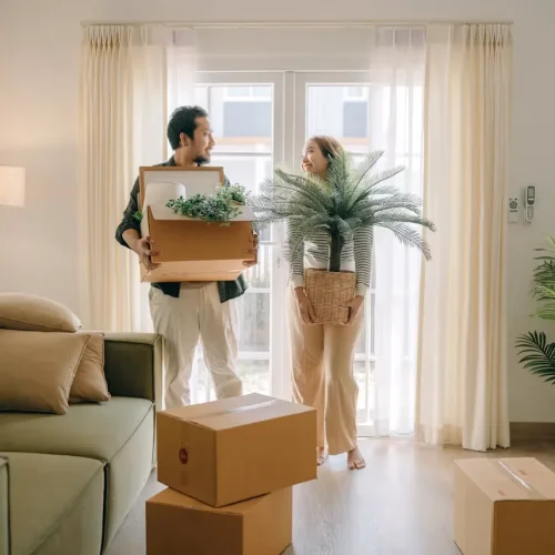 Moving Insurance and Liability