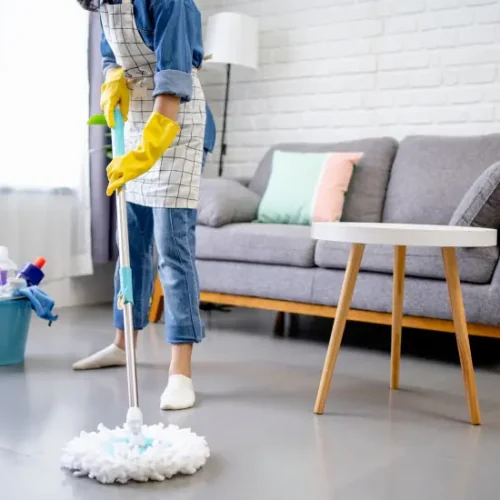 Professional Maid Service