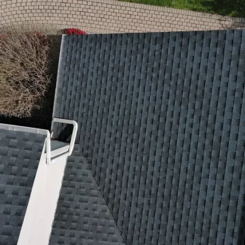 Reasons to Trust Roof Soft Washing Specialists for a Longer-Lasting Roof