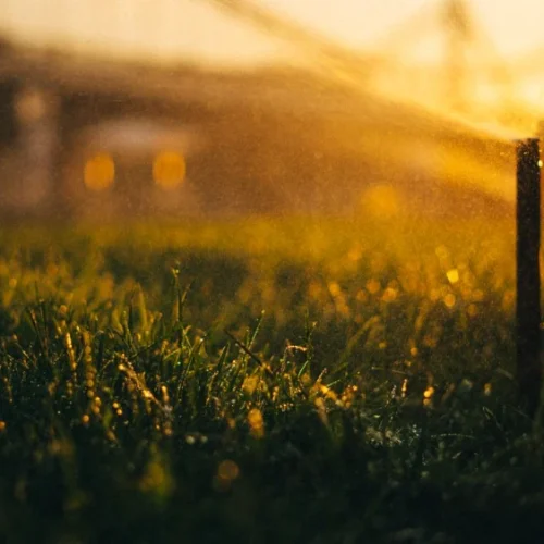 Signs Your Irrigation System Needs Repair