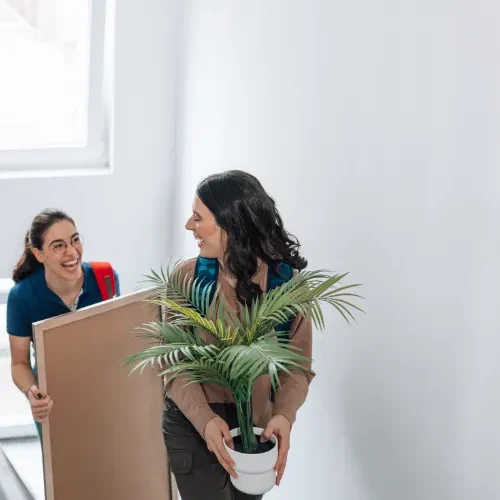 Spare Room Vs. Craigslist Roommate Finder
