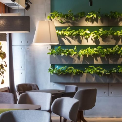 The Ultimate Guide to Creating an Indoor Vertical Garden