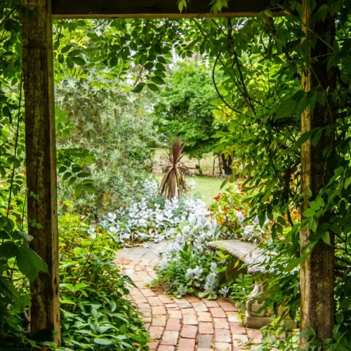 Transform Your Garden Into a Relaxing Retreat