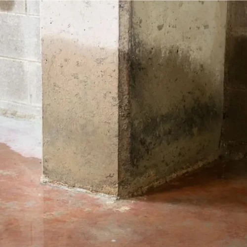 Warning Signs of a Slab Leak