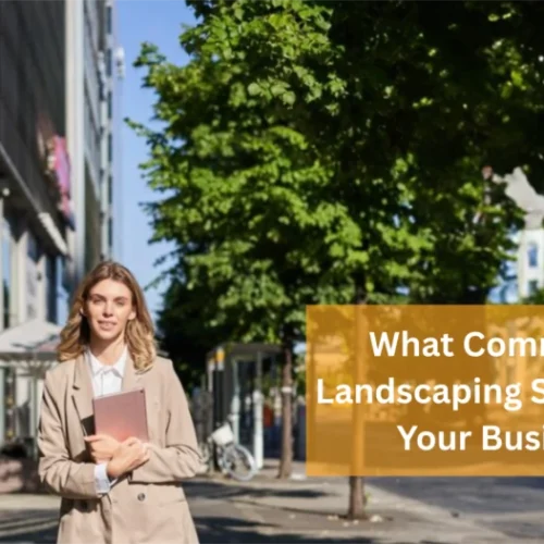 What Commercial Landscaping Says About Your Business