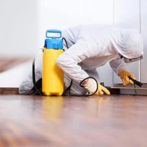 What Do Exterminators Do to Get Rid of Mosquitoes