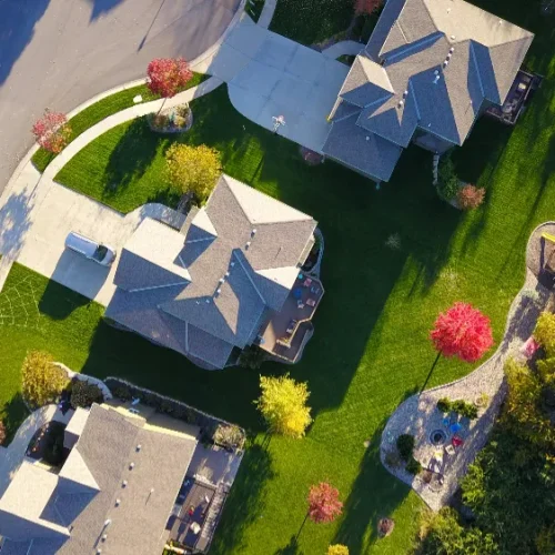 Why Your Lawn Isn’t Thriving Despite All Efforts 1