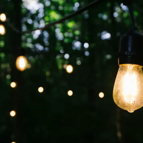 Why Your Outdoor Lighting Design Might Be Attracting More Insects Than You Think Why Your Outdoor Lighting Design Might Be Attracting More Insects Than You Think