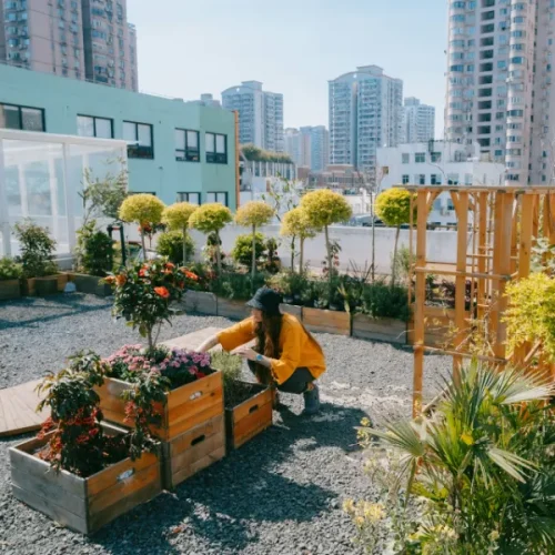 Why Your Rooftop Garden Needs Backflow Protection Too