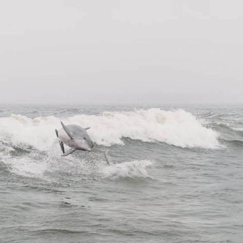 Why Coastal Getaways Are the Perfect Reset for Busy Minds Why Coastal Getaways Are the Perfect Reset for Busy Minds